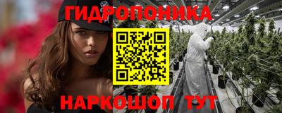 крисы Краснокаменск