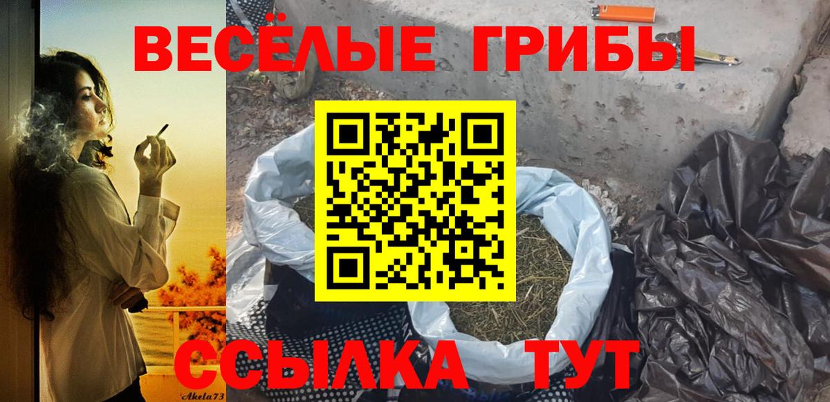 Псилоцибиновые грибы ЛСД Свободный