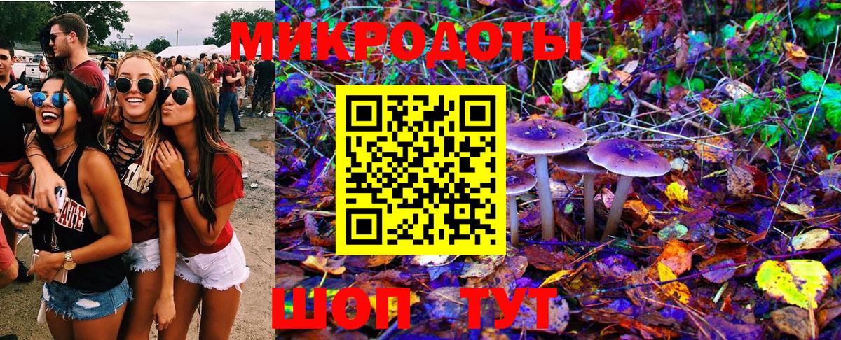 Галлюциногенные грибы MAGIC MUSHROOMS  Вход с VPN  Галлюциногенные грибы GOLDEN TEACHER  Свободный 