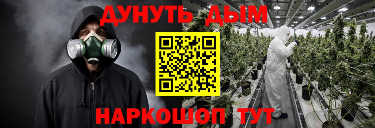 Бошки Шишки планчик Свободный